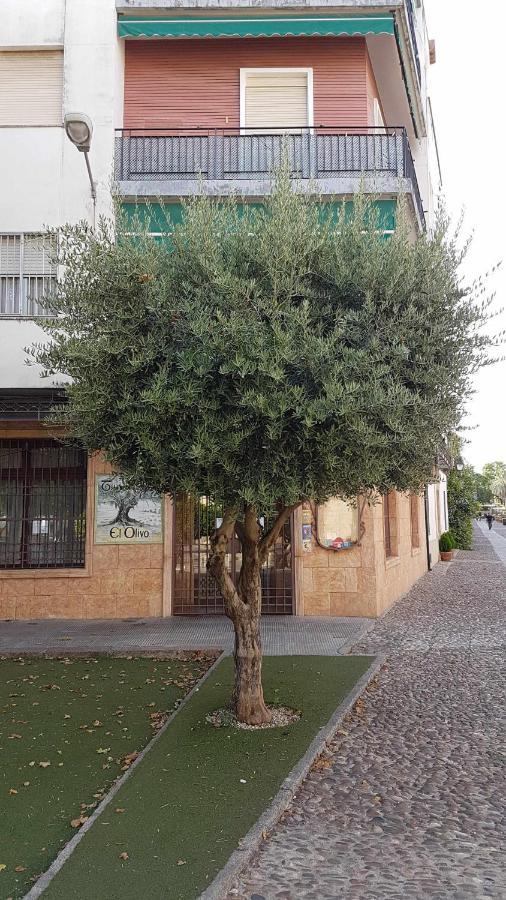 Fantastico Apartamento Junto A La Juderia Córdoba Exteriör bild
